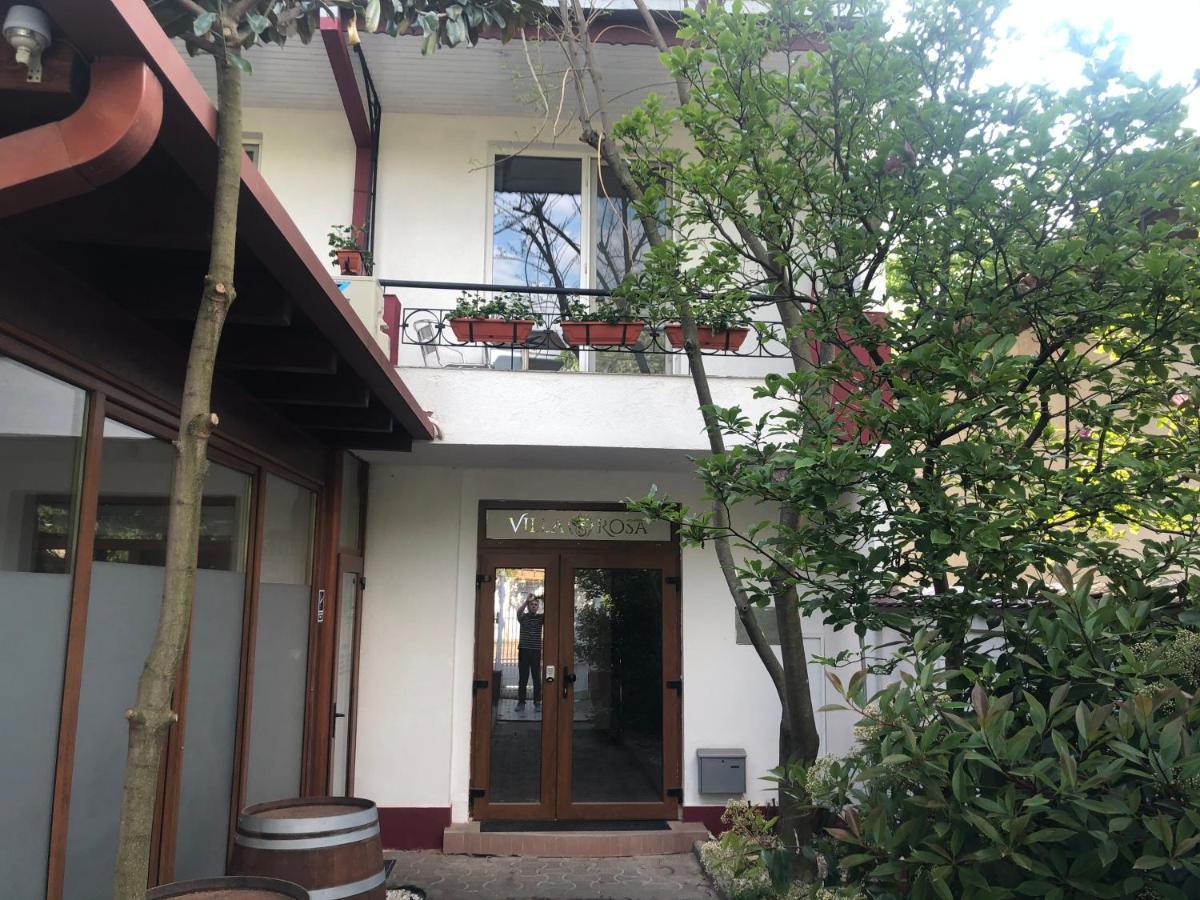 Villa Rosa 티미쇼아라 외부 사진